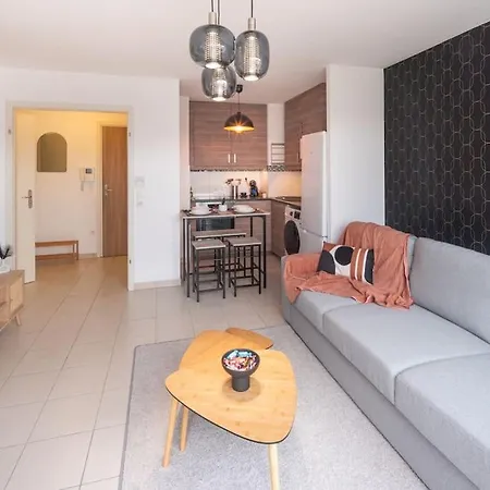 L'excellence-8min Aeroport-terrasse-parking Prive *