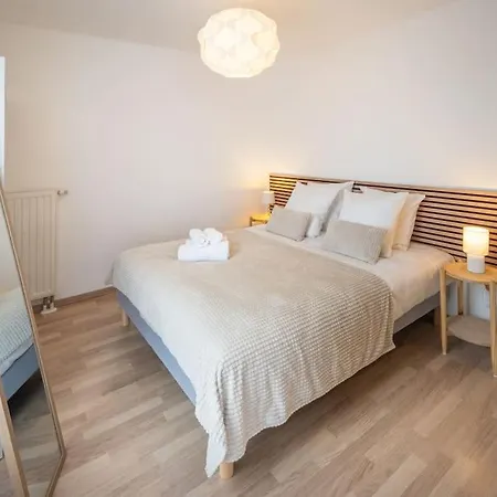 Apartment L'excellence-8min Aeroport-terrasse-parking Prive Lingolsheim